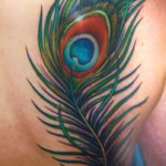 Peacock Feather Tattoo