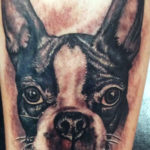 Boston Terrier Tattoo